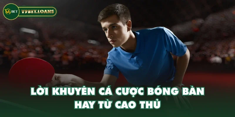 Lời khuyên cá cược bóng bàn hay từ cao thủ